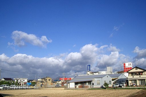 昨年12/6の朝です