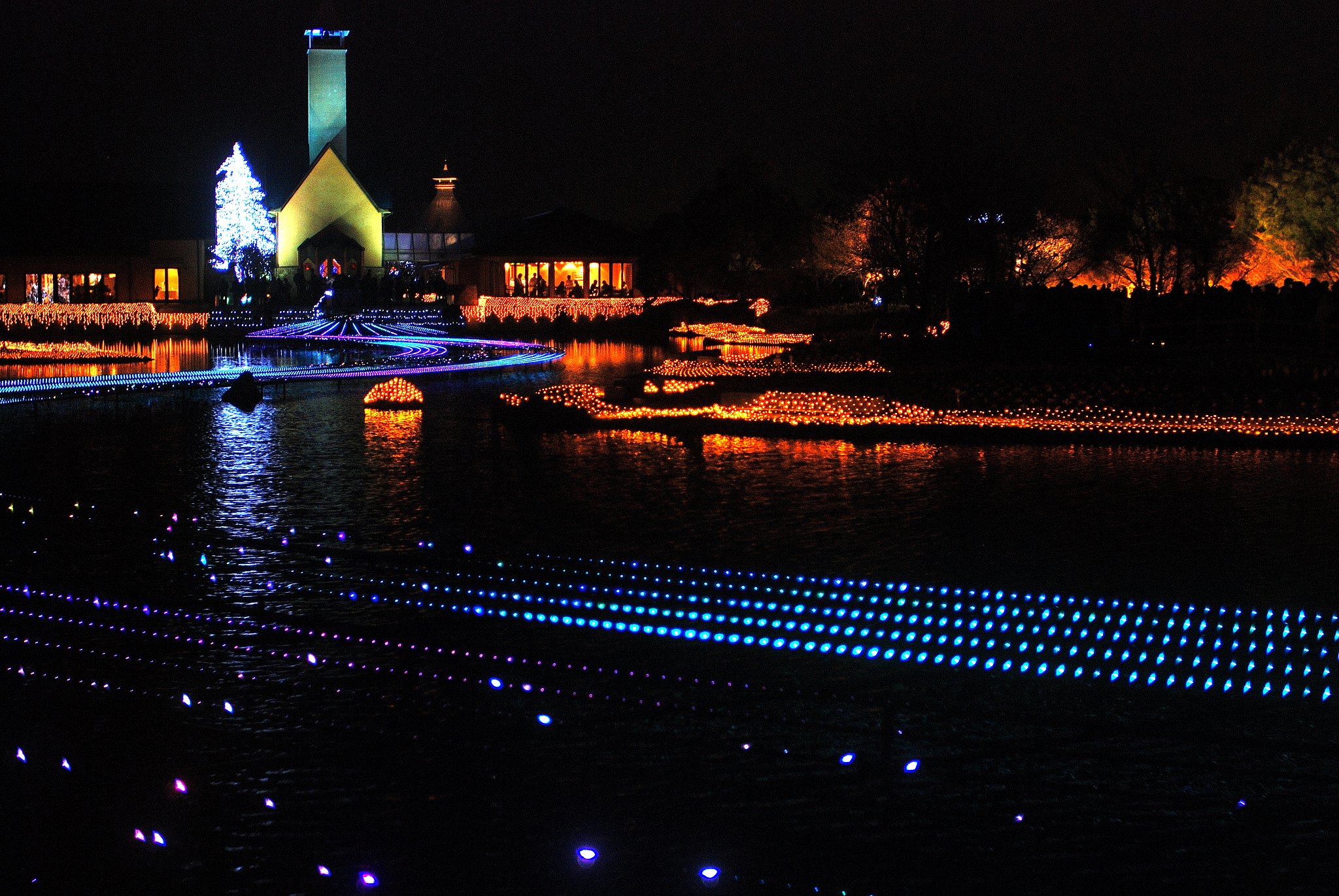 水上のイルミネーション