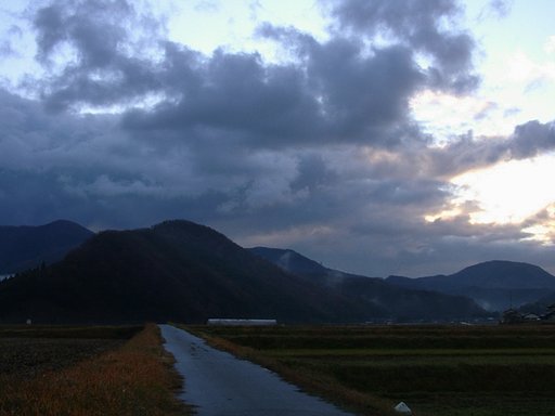 雨上がりの朝