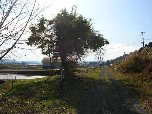 消えた記憶の道