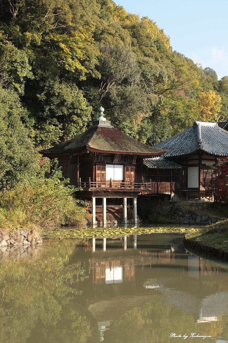 雨上がりの根来寺