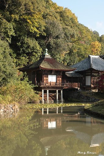 雨上がりの根来寺
