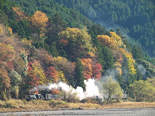晩秋の煙