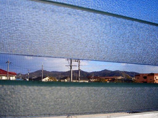 隙間からでも