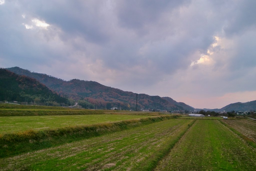 日の入り後30分ほど後