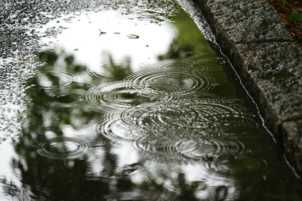 【水】 ワルツ