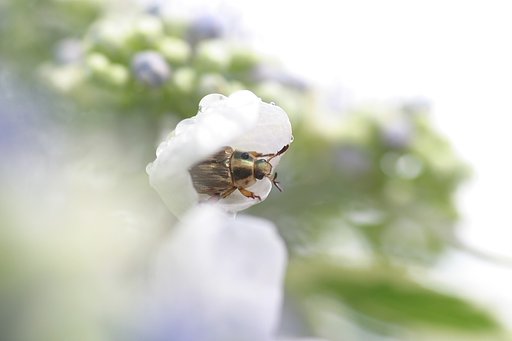 雨上がりの朝