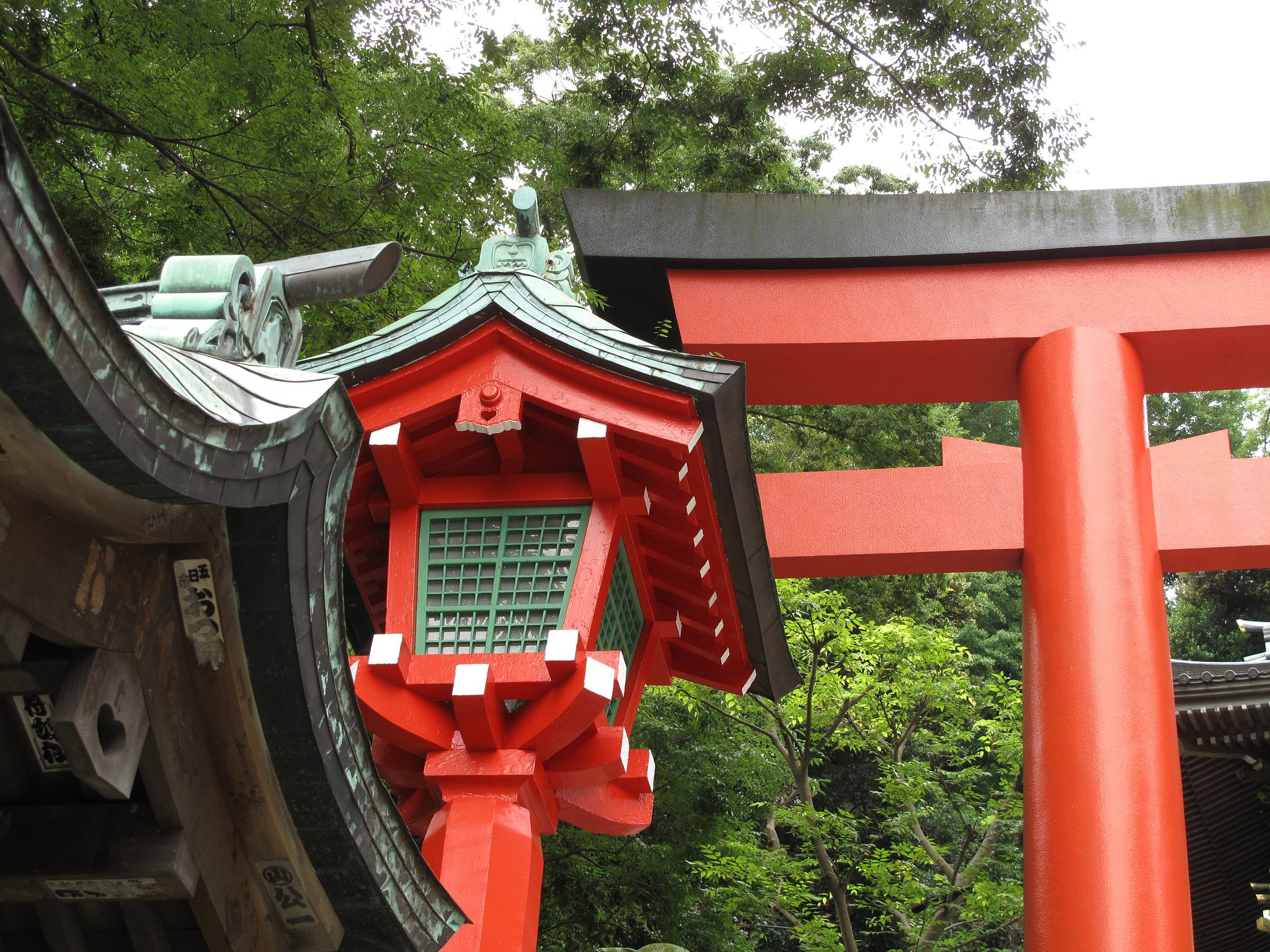 欲張り