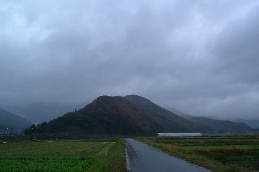雨降りの朝!