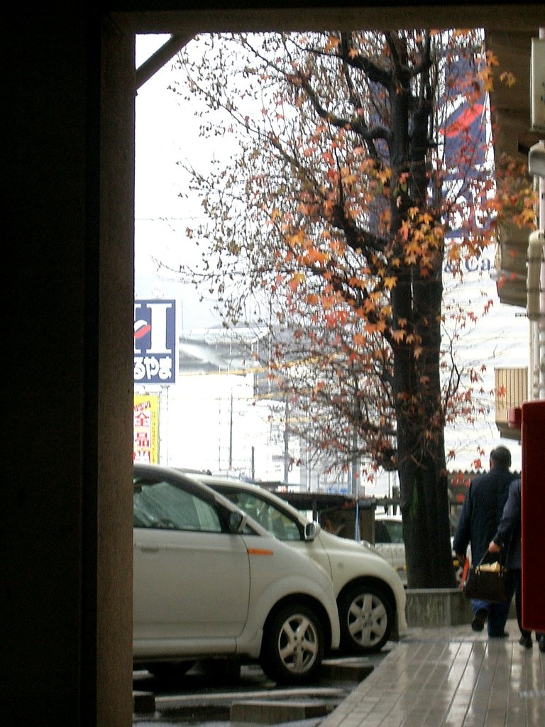 雨