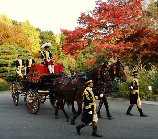 儀装馬車運行