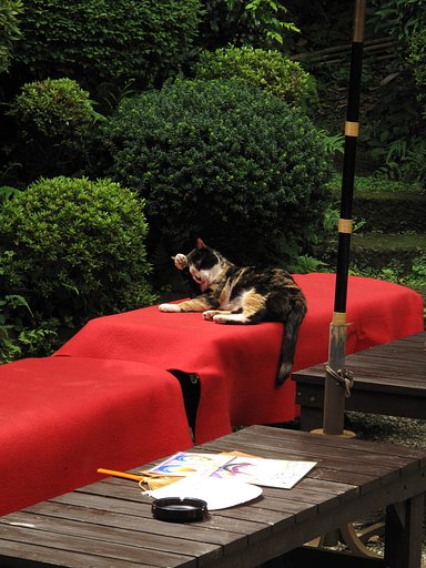 江の島の招き猫