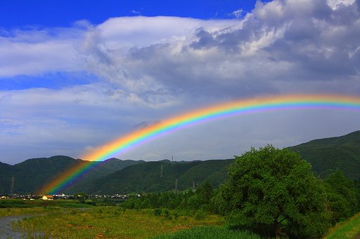 [水]虹　撮ったのは、４時ですが。