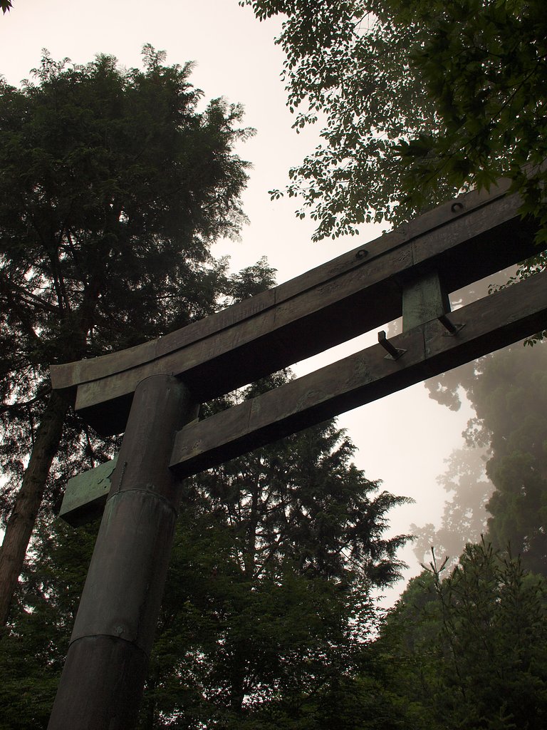 鳥居の佇まい