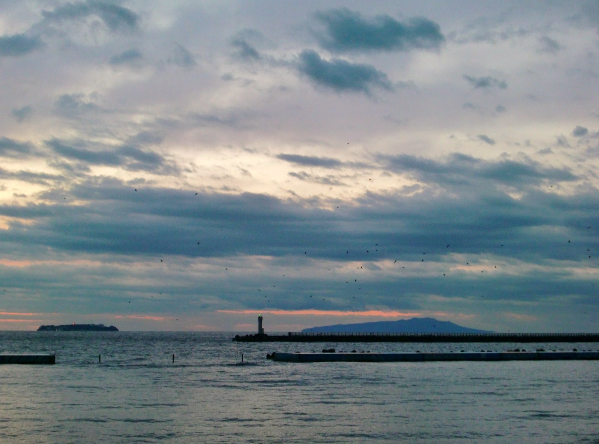 今朝の熱海湾