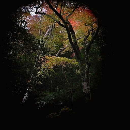 【秋】　ア〜ぁ！