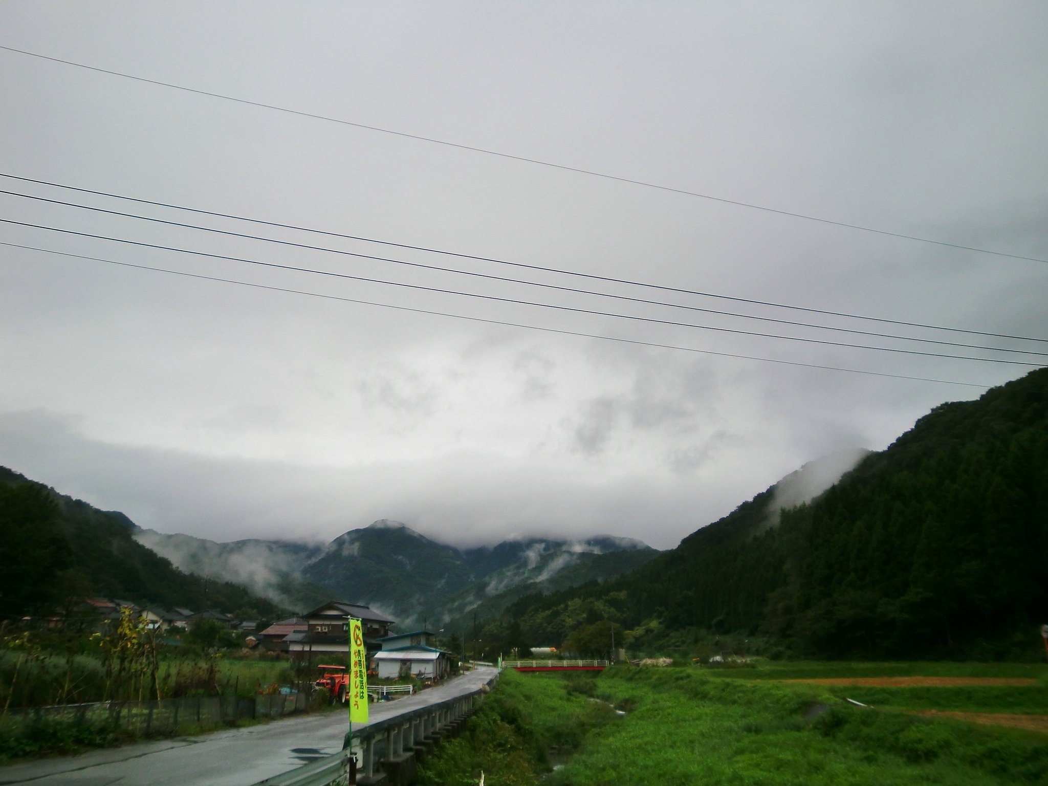 朝から雨降り!