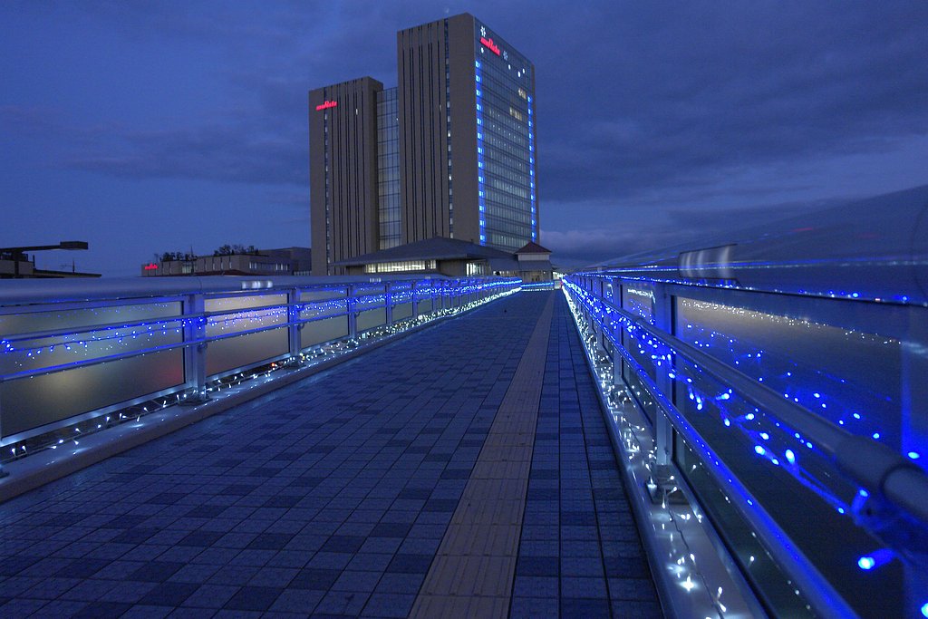 神秘的な陸橋