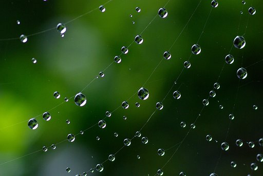 水玉②