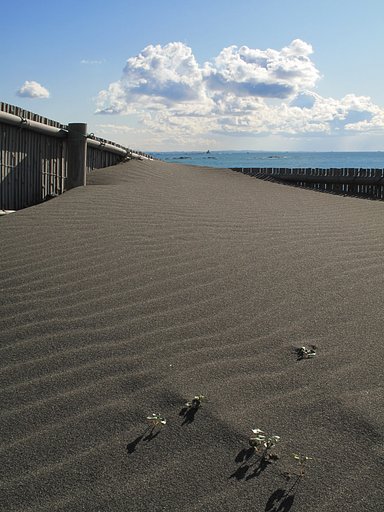 湘南・茅ヶ崎