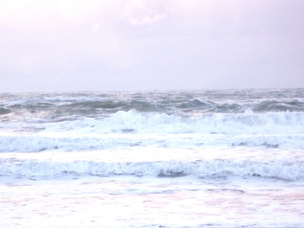 冬の海