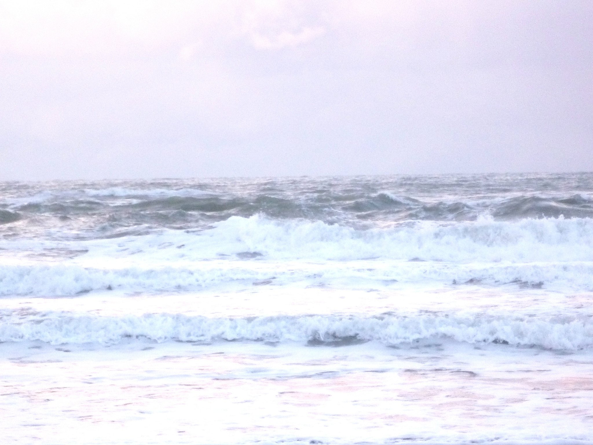 冬の海