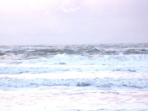 冬の海