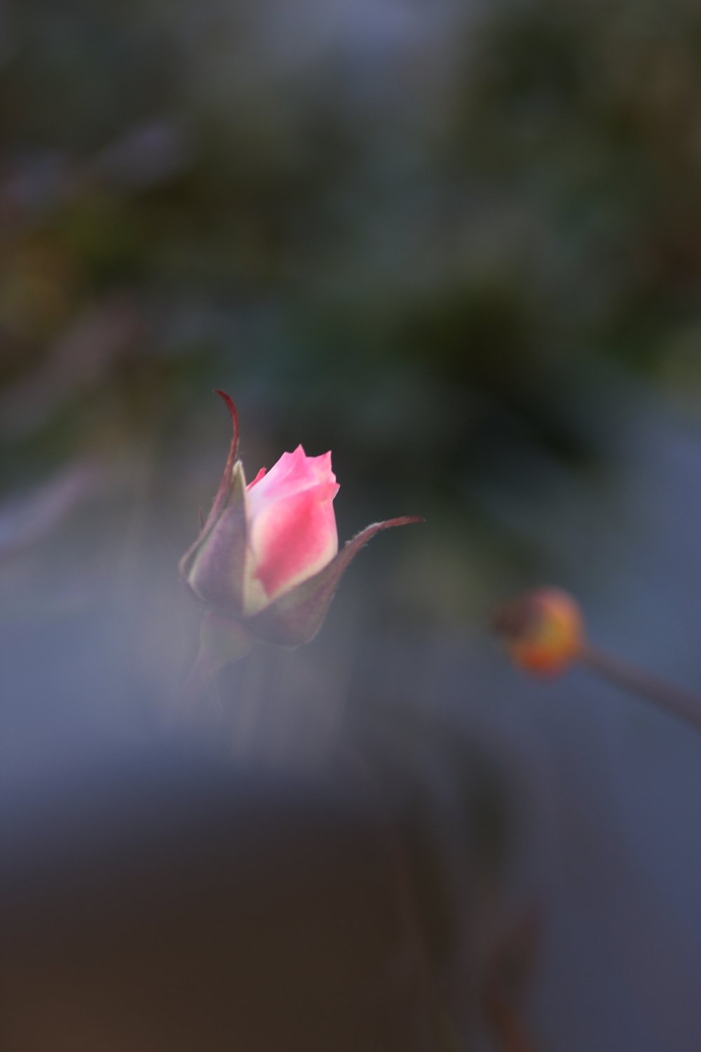 ぬくもり