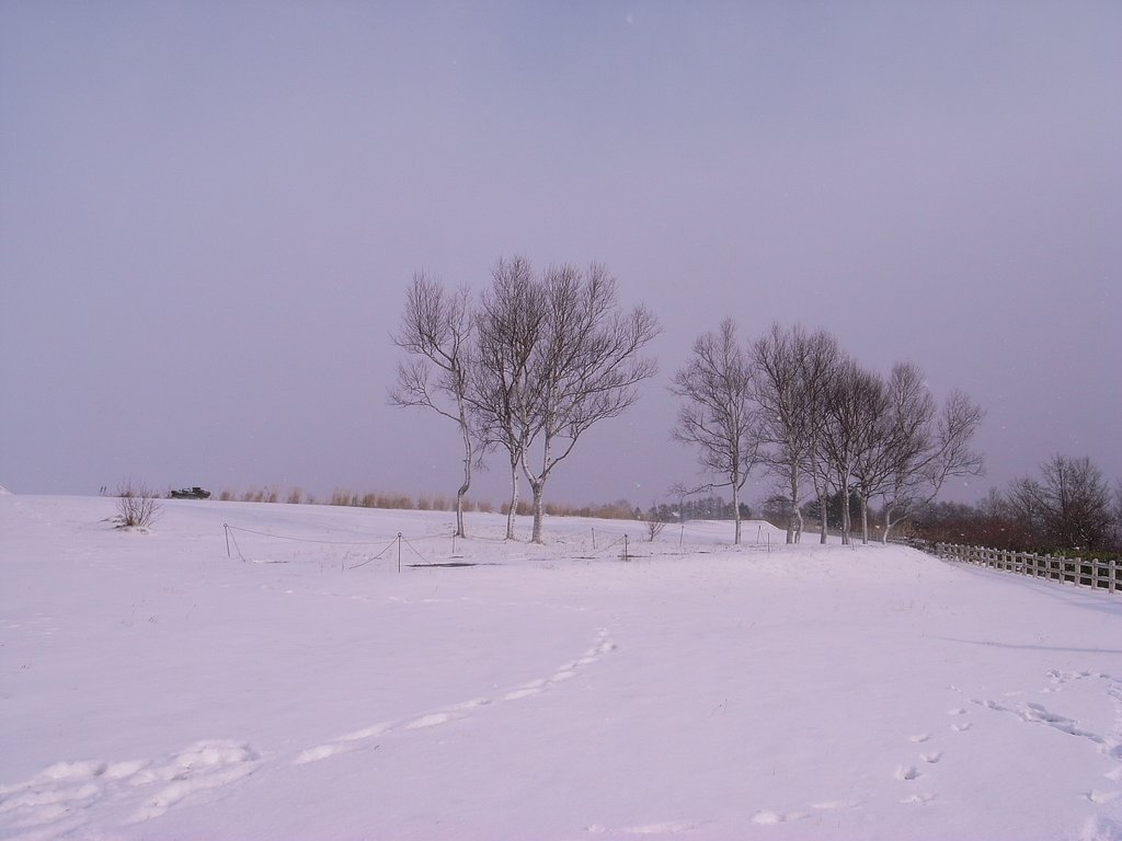 雪景色