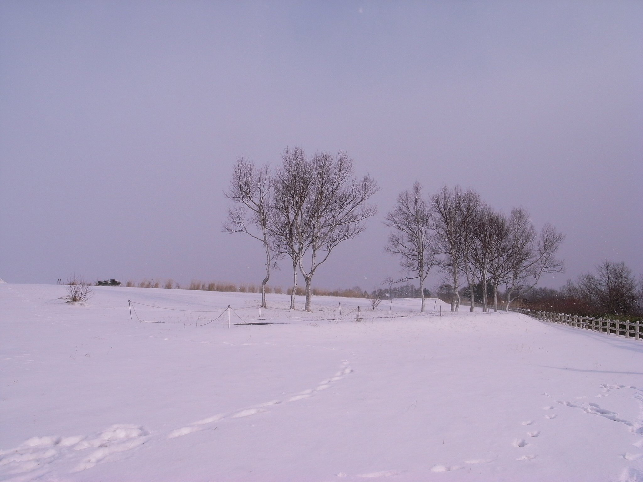 雪景色