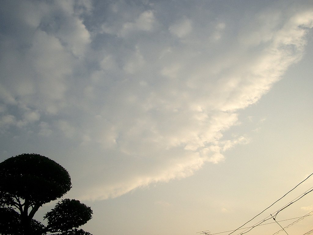 雨上がりの夕暮れ