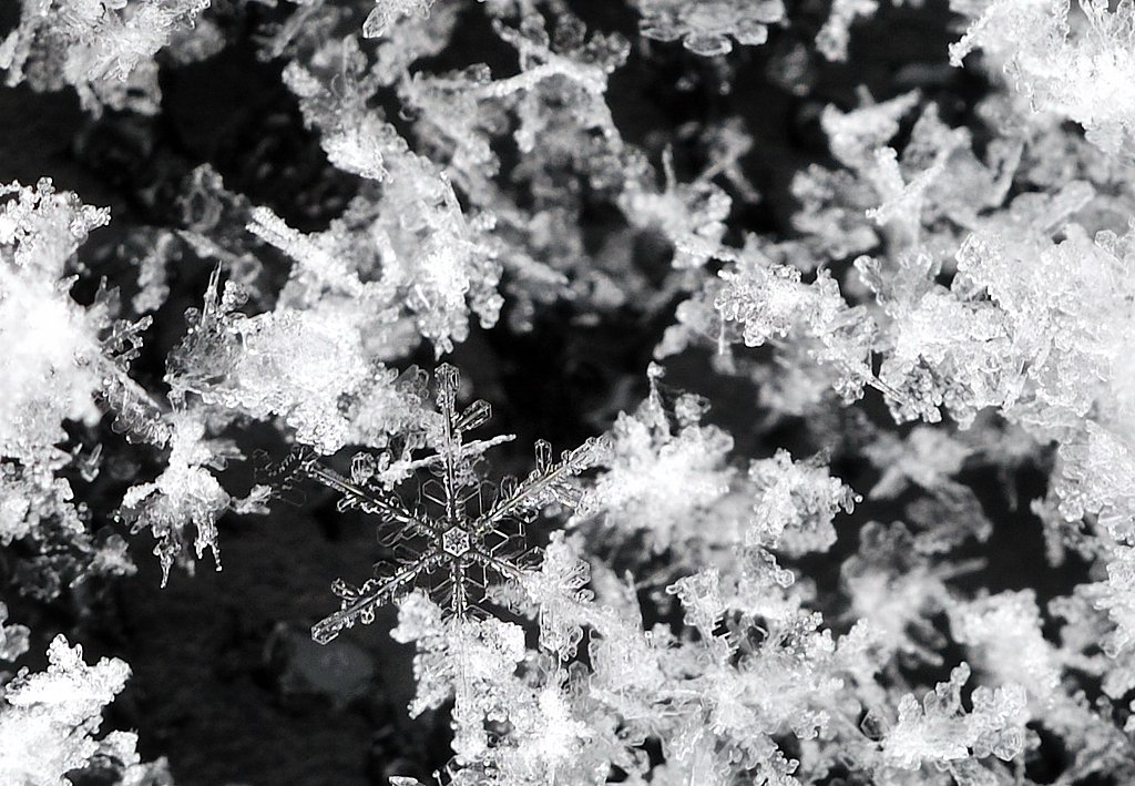 雪の結晶