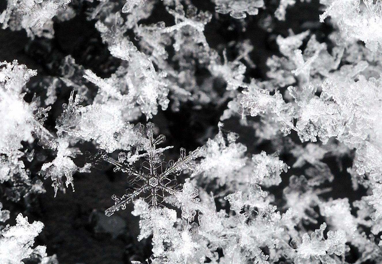 雪の結晶