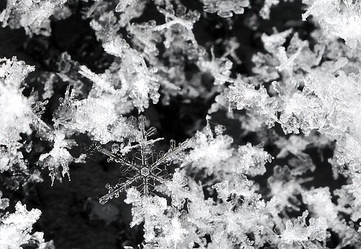雪の結晶