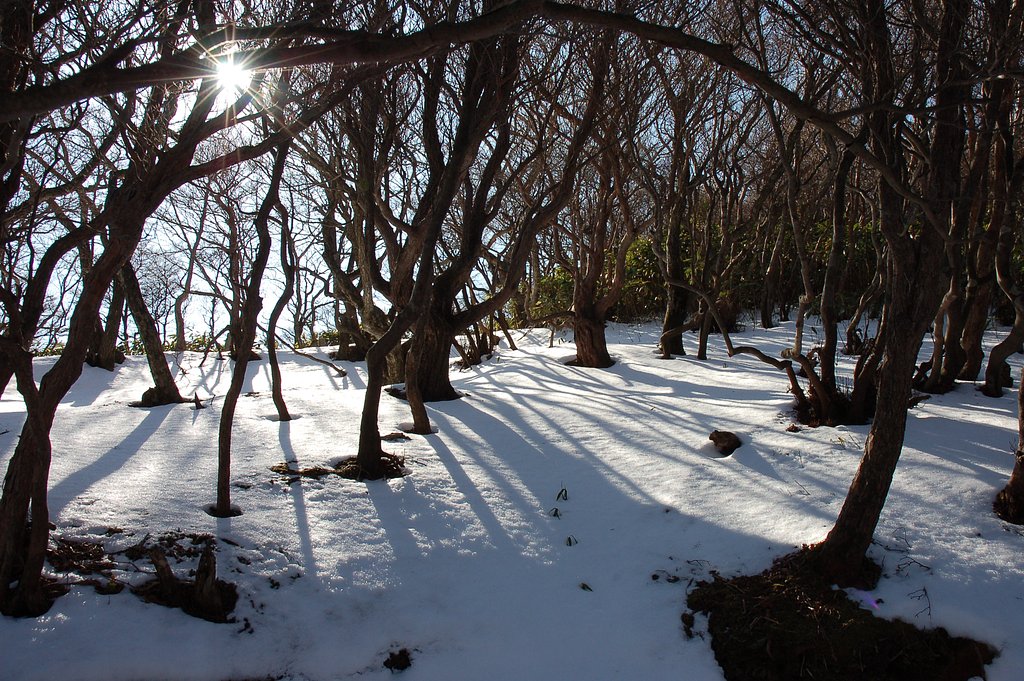 雪山