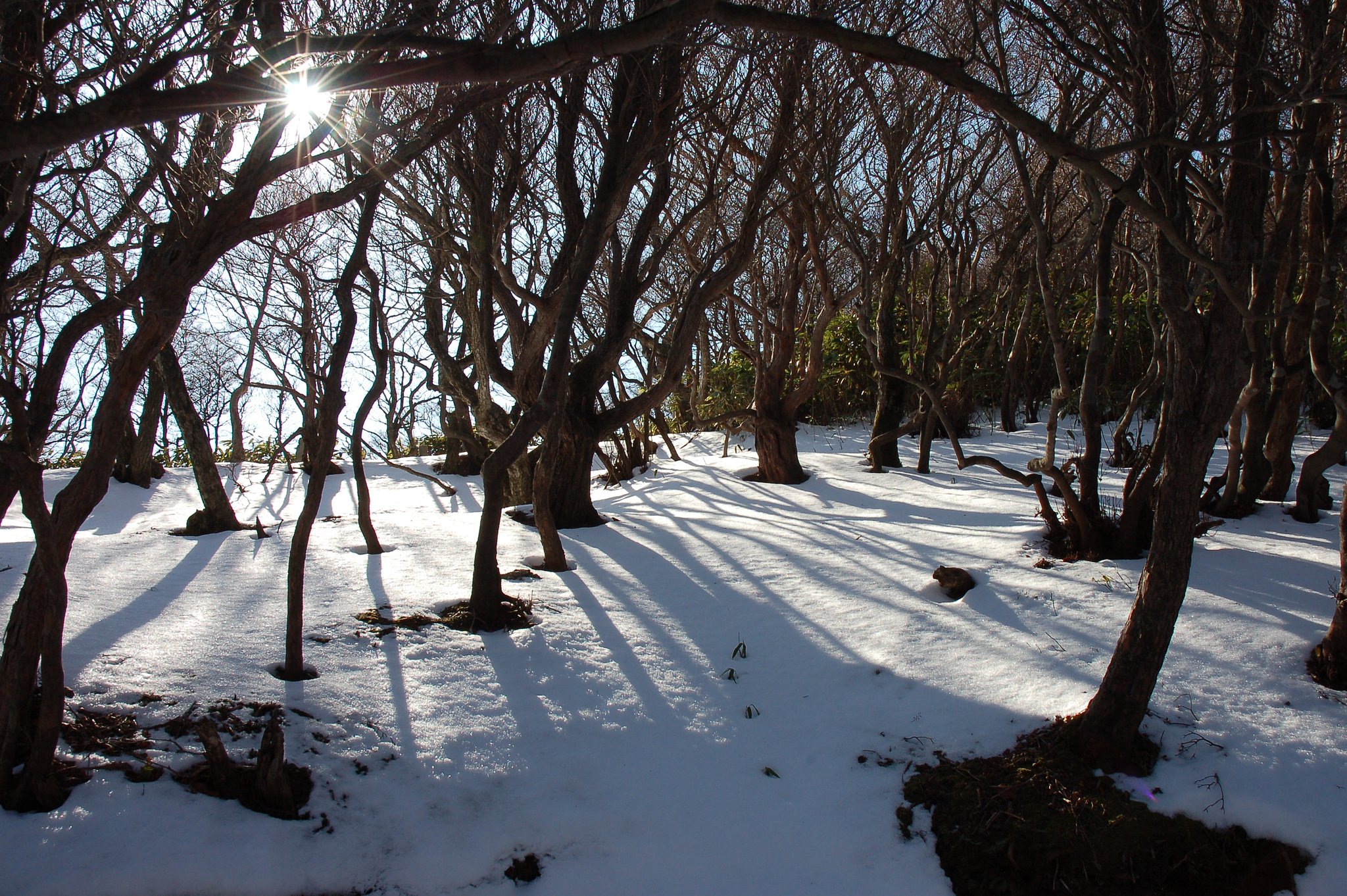 雪山