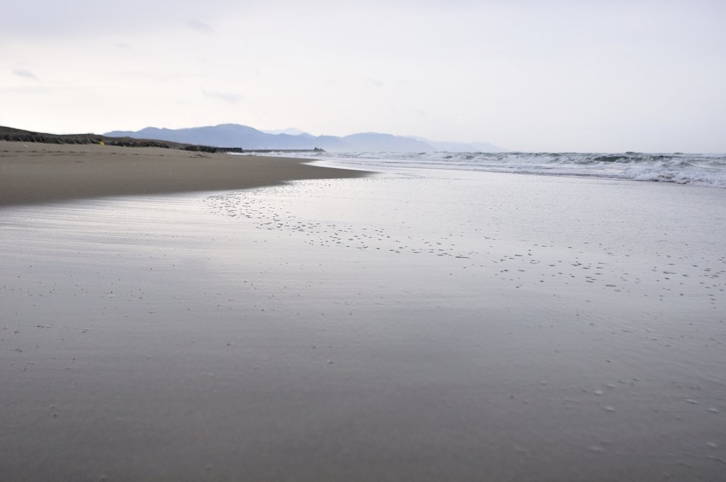 今日の庄内浜