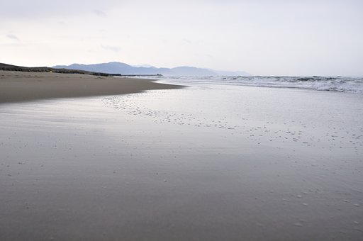 今日の庄内浜