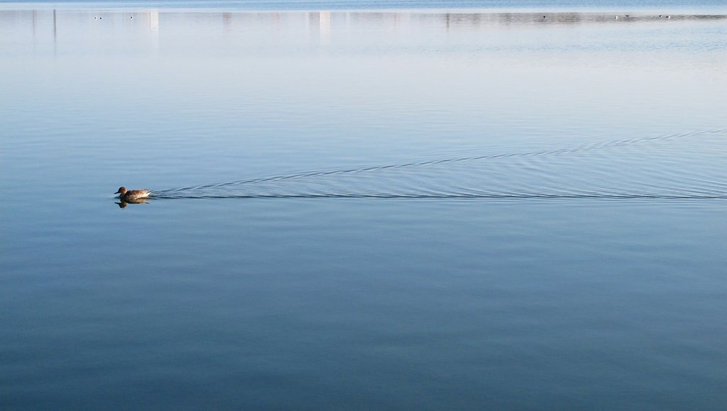 航跡