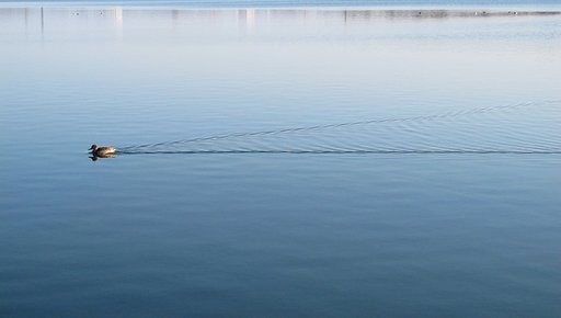 航跡