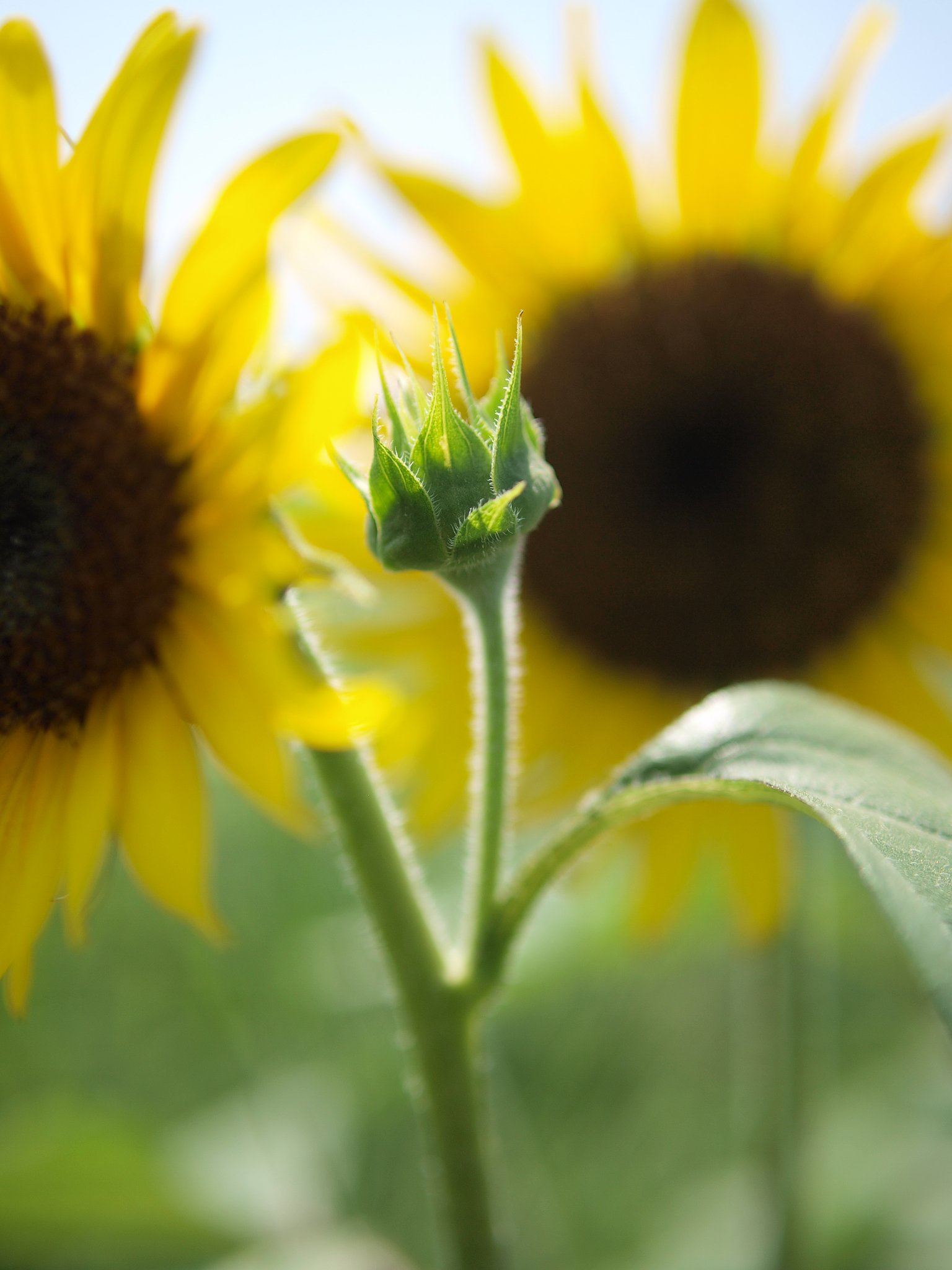 2010年1月のお題発表！