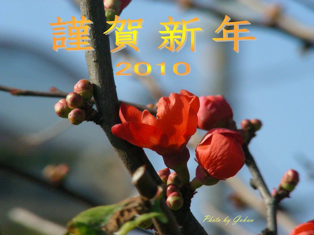 謹賀新年