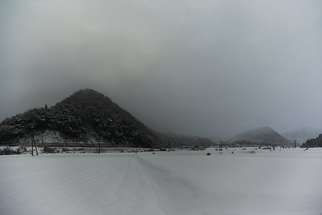 大雪です!
