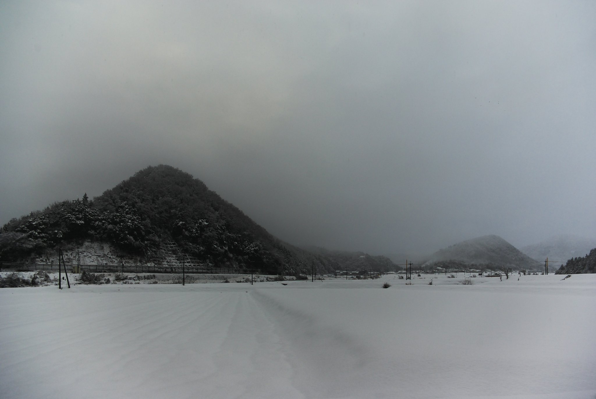 大雪です!