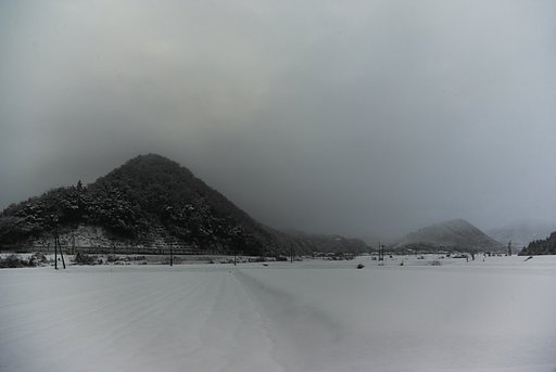 大雪です!