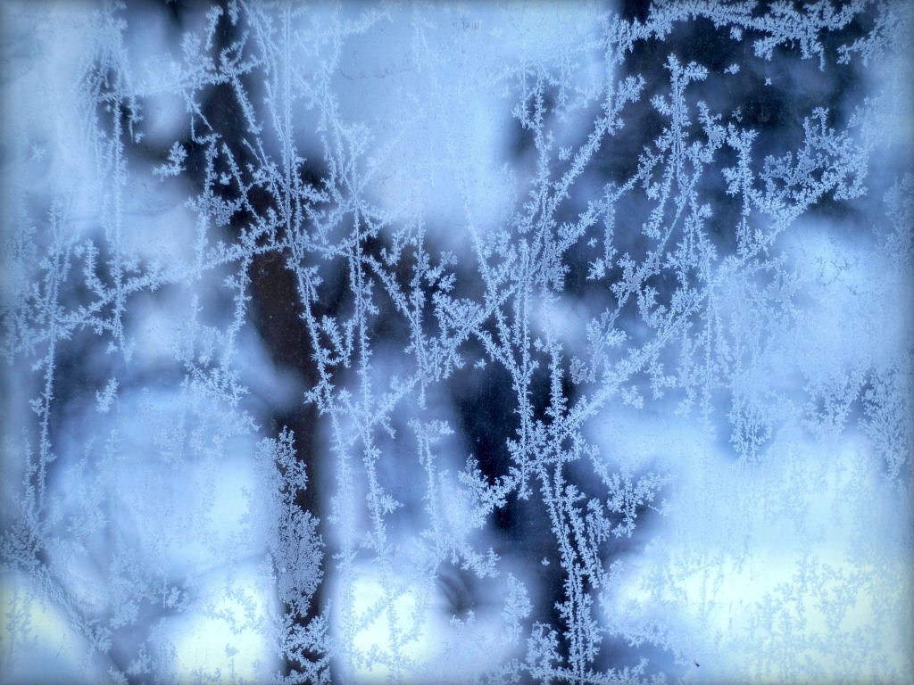 今日のガラス模様