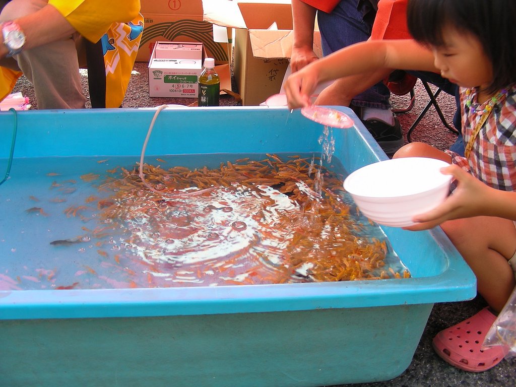 【水】勝負！