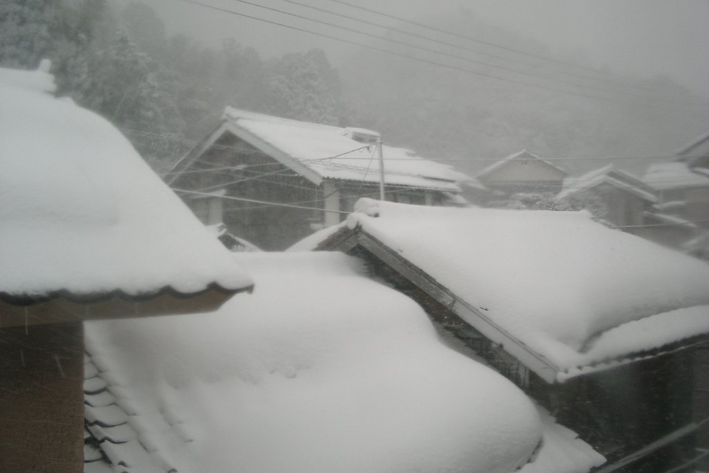またまた吹雪です!