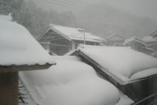 またまた吹雪です!