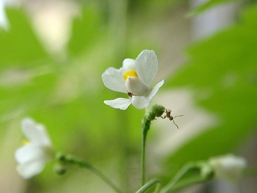 【あした】も働くぞ！